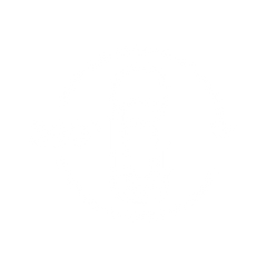 360° PARKOVACIA KAMERA